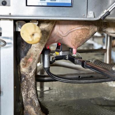AgroTechFilm.pl